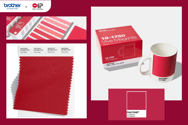 PANTONE 18-1750 Viva Magenta-1