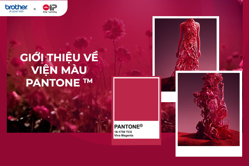 PANTONE 18-1750 Viva Magenta-5